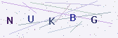 Güvenlik kodu