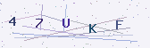 Güvenlik kodu