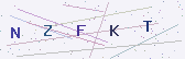 Güvenlik kodu