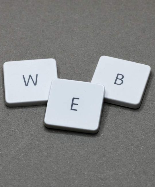 Web Ne Demek?